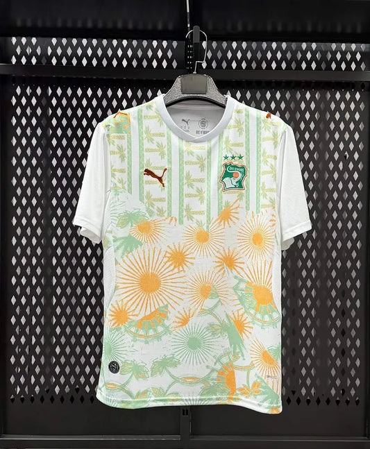 2026 Côte d'ivoire Away World Cup Football Shirt